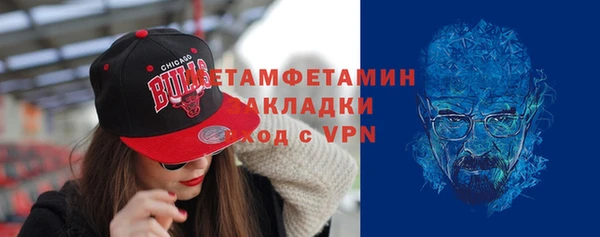 гидра Надым