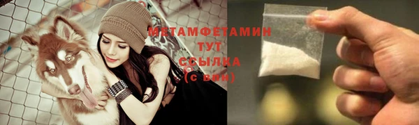 гидра Надым