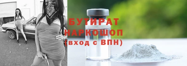 гидра Надым