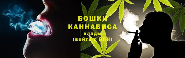 гидра Надым