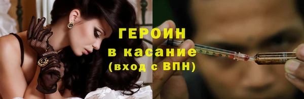 гидра Надым