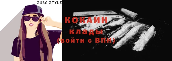 гидра Надым