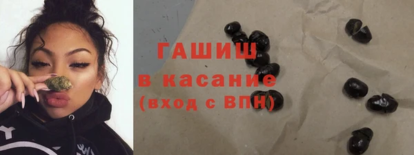гидра Надым