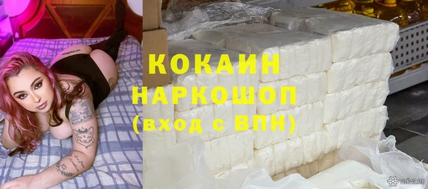 гидра Надым