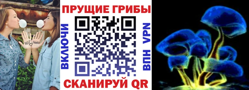Псилоцибиновые грибы прущие грибы  Донской 