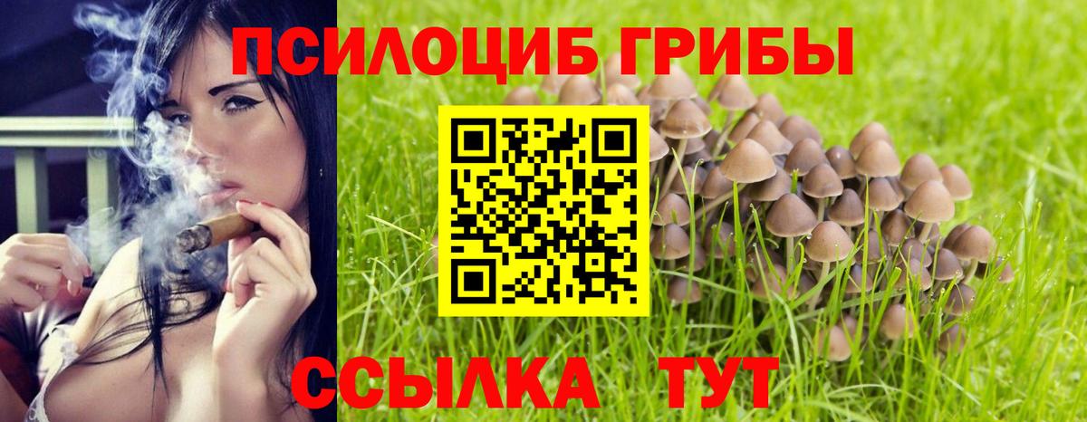 Псилоцибиновые грибы мухоморы  закладка  Псилоцибиновые грибы MAGIC MUSHROOMS  Донской 
