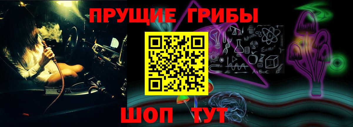 Донской  Псилоцибиновые грибы GOLDEN TEACHER  Вход с VPN  Псилоцибиновые грибы Psilocybe 